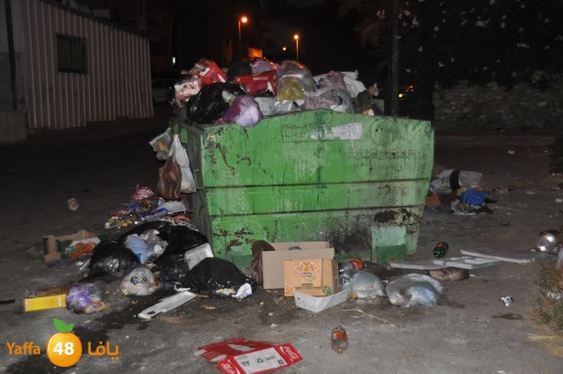 trash lud 907 (33).JPG